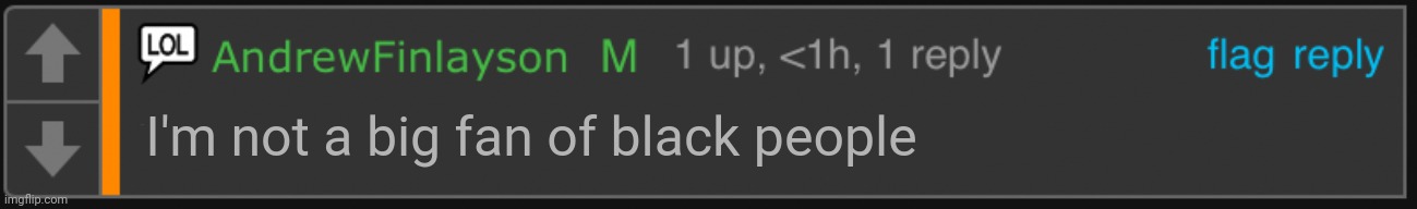 Remember: if it gets deleted, it's canon | I'm not a big fan of black people | image tagged in andrewfinlayson looks like another rup alt account | made w/ Imgflip meme maker