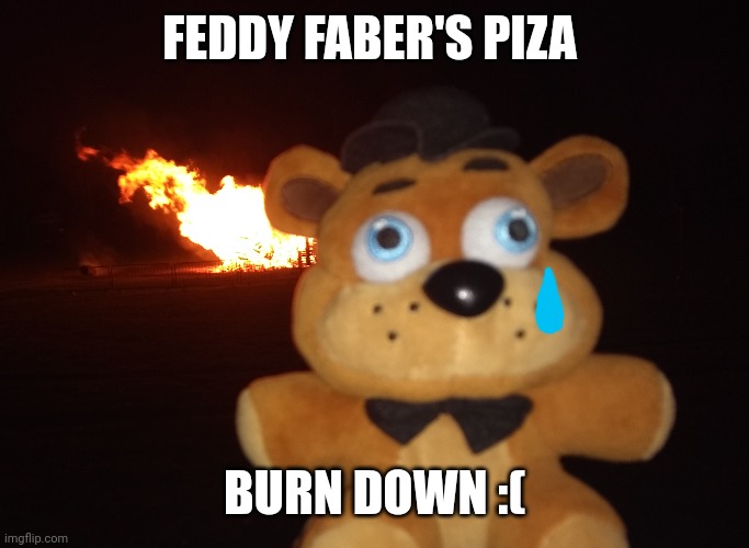 :( | FEDDY FABER'S PIZA; BURN DOWN :( | image tagged in fnaf,burn | made w/ Imgflip meme maker