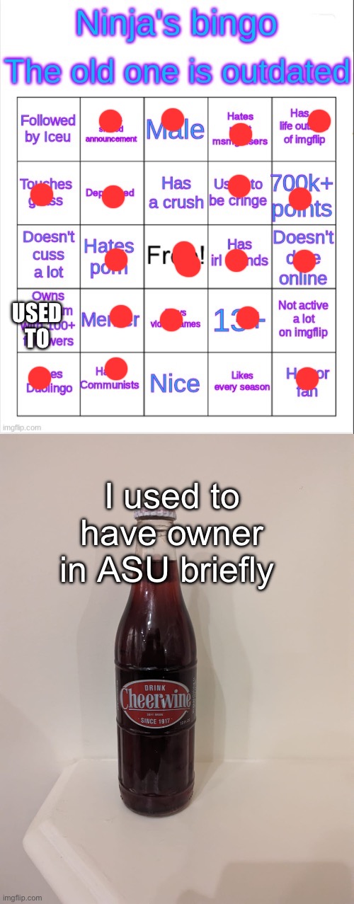 USED TO; I used to have owner in ASU briefly | image tagged in ninja's bingo,cheerwine | made w/ Imgflip meme maker