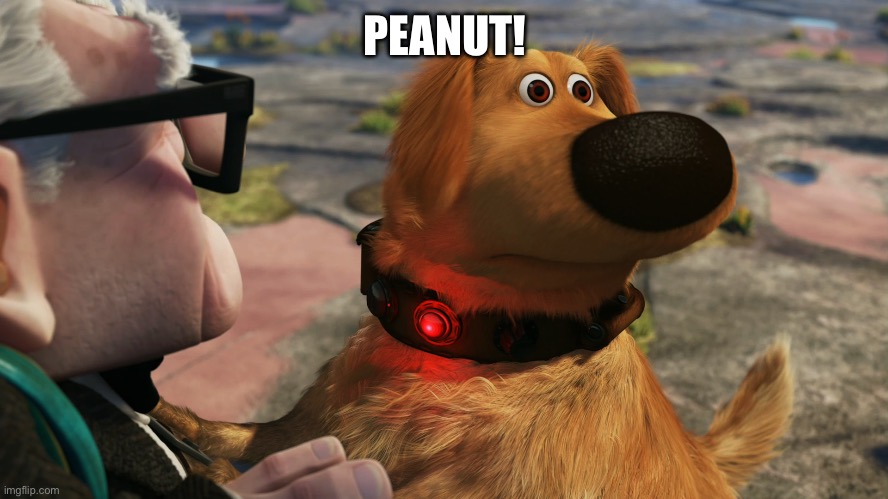 Up Dog | PEANUT! | image tagged in up dog | made w/ Imgflip meme maker