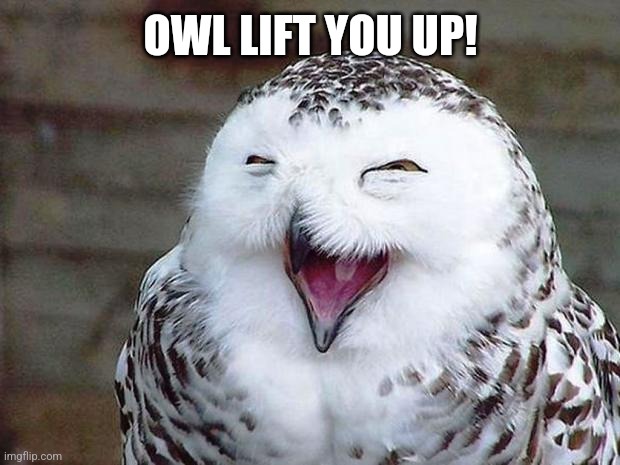 owl happy | OWL LIFT YOU UP! | image tagged in owl happy | made w/ Imgflip meme maker