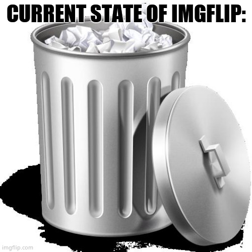 Dead server. Didn't laugh. | CURRENT STATE OF IMGFLIP: | image tagged in trash can full | made w/ Imgflip meme maker