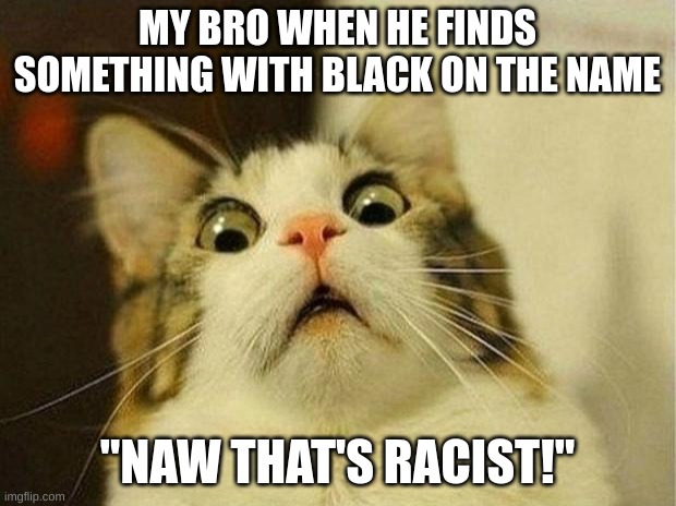 Scared Cat Meme | MY BRO WHEN HE FINDS SOMETHING WITH BLACK ON THE NAME; "NAW THAT'S RACIST!" | image tagged in memes,scared cat | made w/ Imgflip meme maker