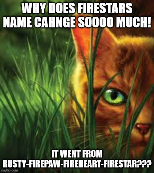 Why???? i love firestar but there is soooo many names for him??? | WHY DOES FIRESTARS NAME CAHNGE SOOOO MUCH! IT WENT FROM RUSTY-FIREPAW-FIREHEART-FIRESTAR??? | image tagged in why | made w/ Imgflip meme maker