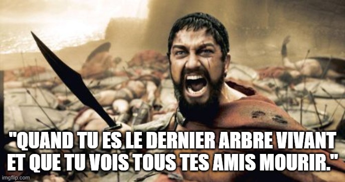 Sparta Leonidas | "QUAND TU ES LE DERNIER ARBRE VIVANT ET QUE TU VOIS TOUS TES AMIS MOURIR." | image tagged in memes,sparta leonidas | made w/ Imgflip meme maker