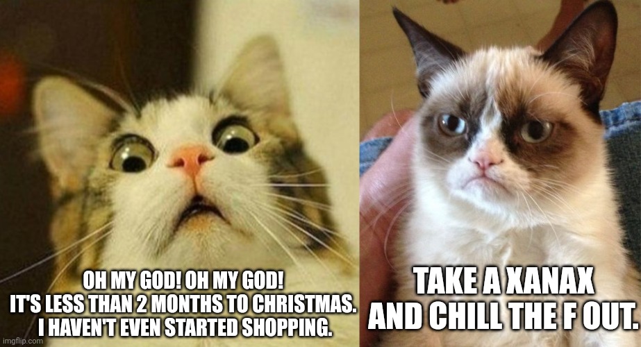 Day After Halloween, Christmas Shoppers Be Panicking Already | OH MY GOD! OH MY GOD! 
IT'S LESS THAN 2 MONTHS TO CHRISTMAS. 
I HAVEN'T EVEN STARTED SHOPPING. TAKE A XANAX AND CHILL THE F OUT. | image tagged in memes,grumpy cat,scared cat,christmas shopping,panic attack,calm down | made w/ Imgflip meme maker