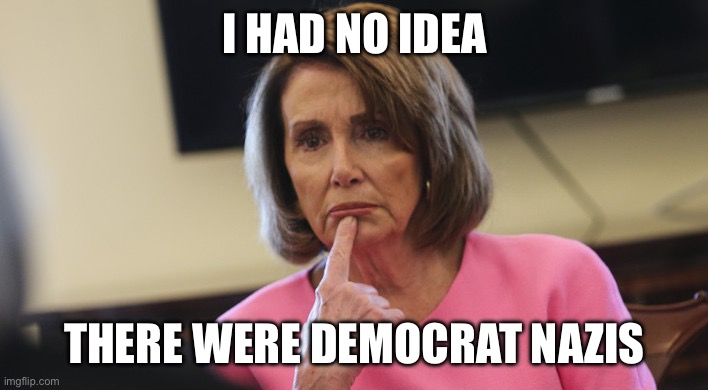Pelosi Philosoraptor | I HAD NO IDEA THERE WERE DEMOCRAT NAZIS | image tagged in pelosi philosoraptor | made w/ Imgflip meme maker