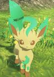 petallion Blank Meme Template