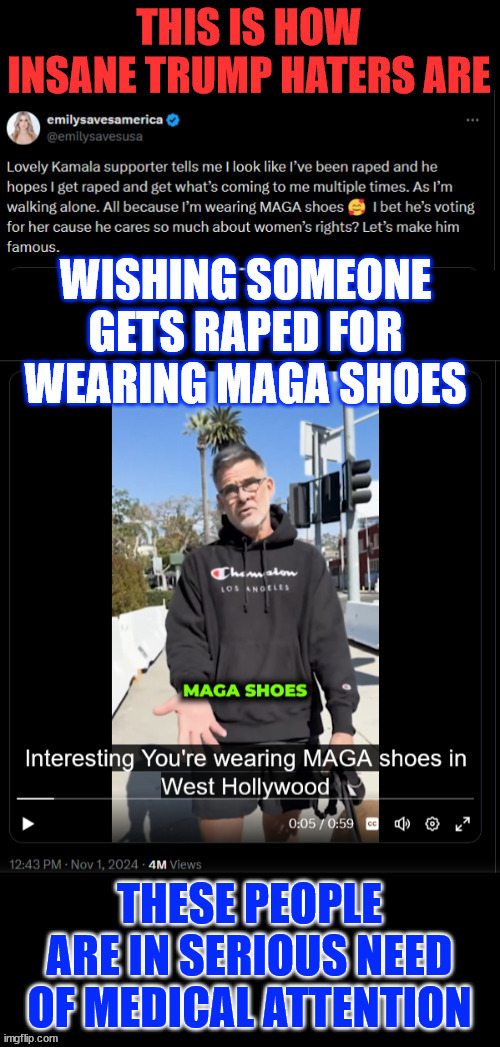 Insane liberal hopes you get criminally assaulted for the shoes you wear... | image tagged in insane liberal,saying she asked for it,it was the shoes | made w/ Imgflip meme maker