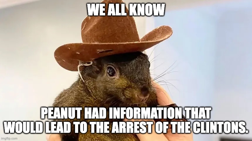 RIP Peanut | WE ALL KNOW; PEANUT HAD INFORMATION THAT WOULD LEAD TO THE ARREST OF THE CLINTONS. | image tagged in peanut the squirrel,hillary clinton | made w/ Imgflip meme maker