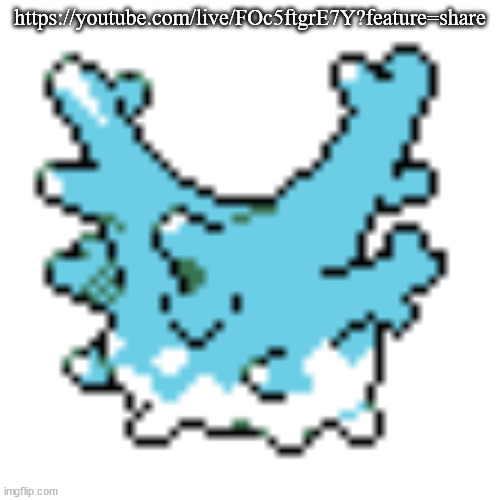 be there or be square | https://youtube.com/live/FOc5ftgrE7Y?feature=share | image tagged in happy corsola | made w/ Imgflip meme maker