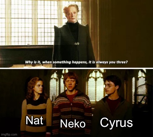 Always you three | Cyrus; Nat; Neko | image tagged in always you three | made w/ Imgflip meme maker