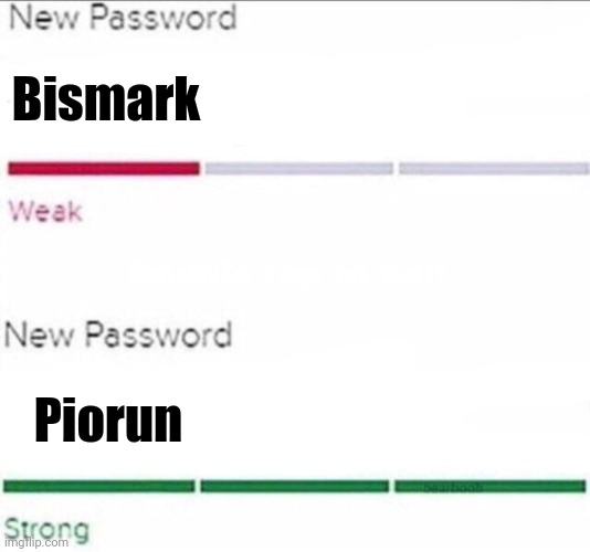 If you know you know | Bismark; Piorun | image tagged in password strength,ships,ship | made w/ Imgflip meme maker