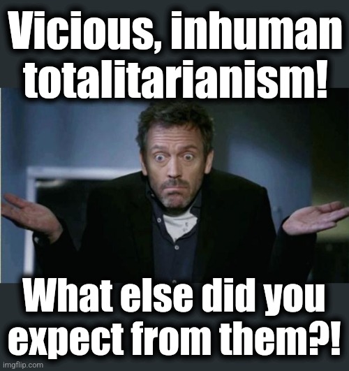 SHRUG | Vicious, inhuman
totalitarianism! What else did you
expect from them?! | image tagged in shrug | made w/ Imgflip meme maker