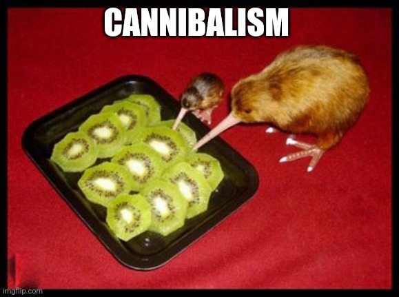 kiwicannibalism | CANNIBALISM | image tagged in kiwicannibalism | made w/ Imgflip meme maker