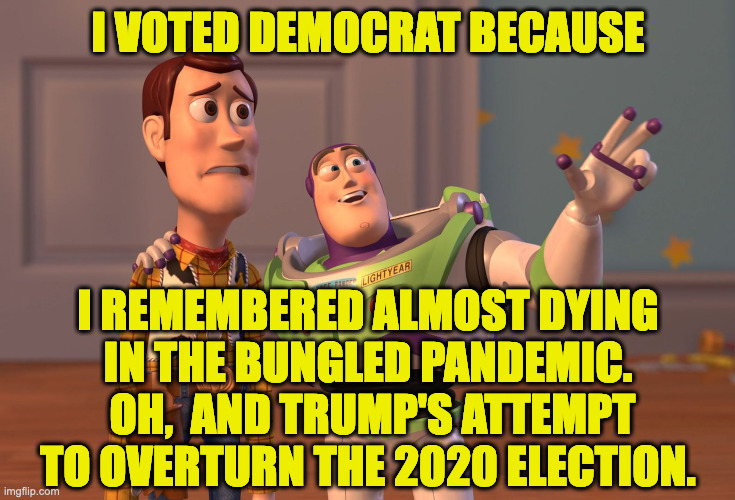 X, X Everywhere Meme | I VOTED DEMOCRAT BECAUSE I REMEMBERED ALMOST DYING
IN THE BUNGLED PANDEMIC.  OH,  AND TRUMP'S ATTEMPT TO OVERTURN THE 2020 ELECTION. | image tagged in memes,x x everywhere | made w/ Imgflip meme maker