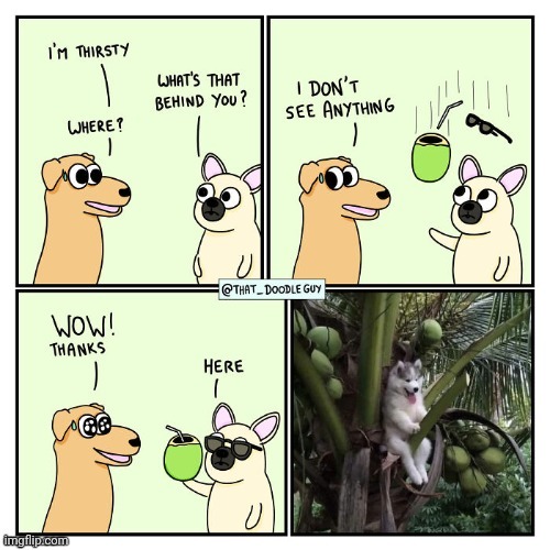 The drink | image tagged in drink,drinks,coconuts,coconut,comics,comics/cartoons | made w/ Imgflip meme maker