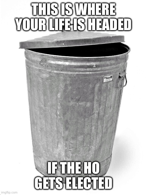 Trash Can | THIS IS WHERE YOUR LIFE IS HEADED; IF THE HO GETS ELECTED | image tagged in trash can | made w/ Imgflip meme maker