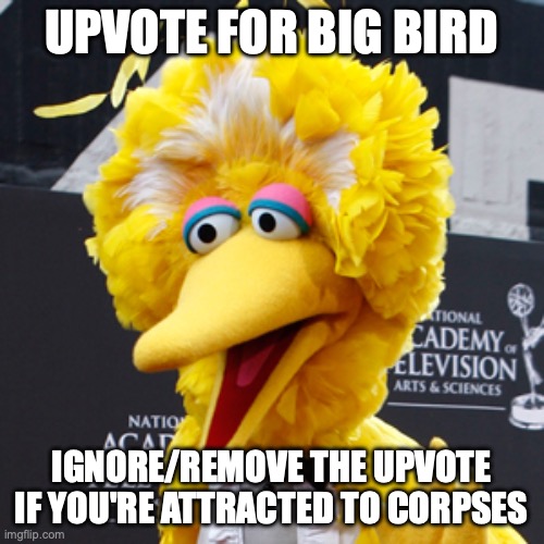 Big Bird Meme | UPVOTE FOR BIG BIRD IGNORE/REMOVE THE UPVOTE IF YOU'RE ATTRACTED TO CORPSES | image tagged in memes,big bird | made w/ Imgflip meme maker