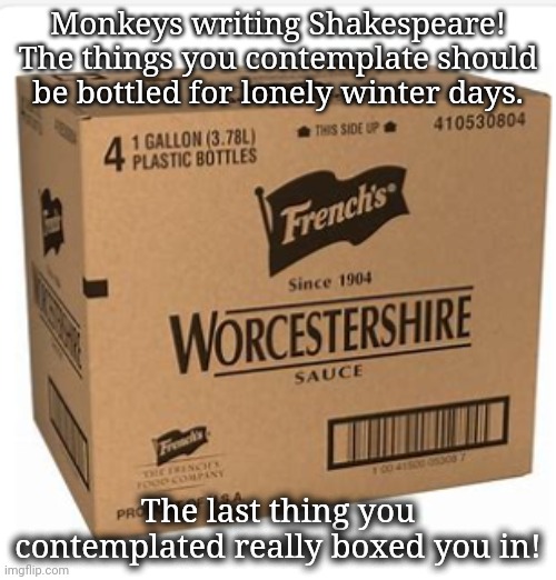 Monkeys writing Shakespeare! The things you contemplate should be bottled for lonely winter days. The last thing you contemplated really box | made w/ Imgflip meme maker