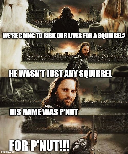 For P'nut! | WE'RE GOING TO RISK OUR LIVES FOR A SQUIRREL? HE WASN'T JUST ANY SQUIRREL; HIS NAME WAS P'NUT; FOR P'NUT!!! | image tagged in for frodo,p'nut,squirrel,ny is evil af,pet murder | made w/ Imgflip meme maker