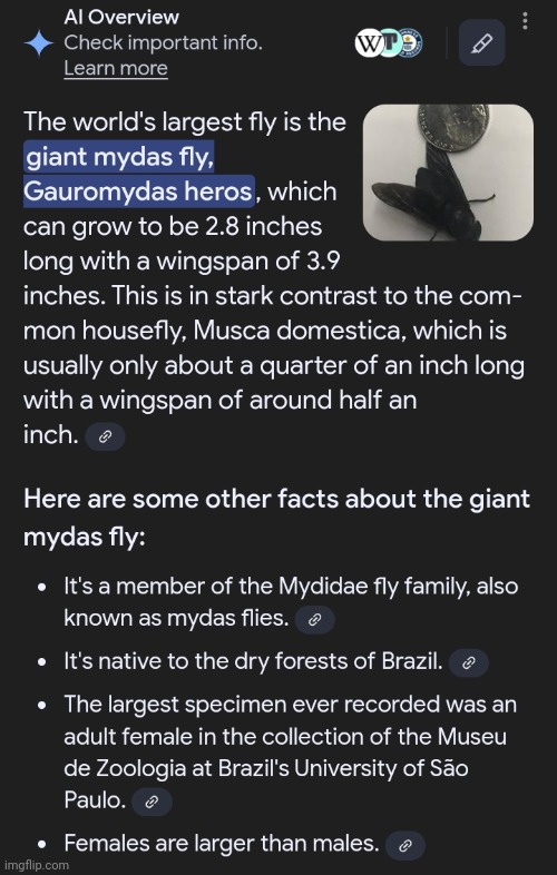 THE FLY IN THE MOLDY HOTEL IS SUPPOSED TO BE IN BRAZIL NOT WISCO USA ❗️❗️❗️❗️❗️ | made w/ Imgflip meme maker
