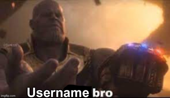 link bro | Username | image tagged in link bro | made w/ Imgflip meme maker