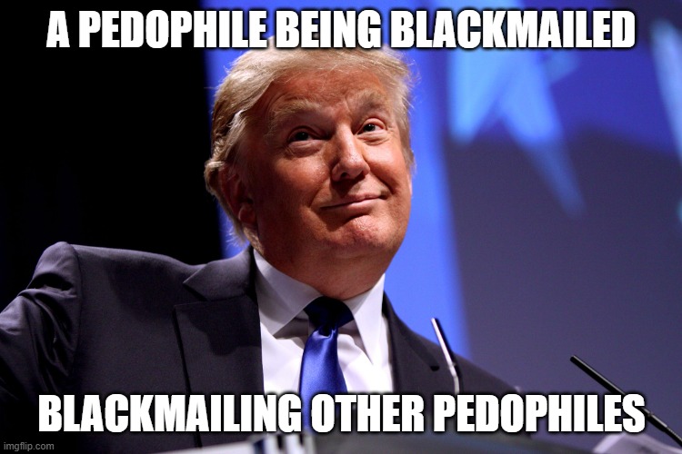 Woodward has 9 hours of Epstein talking about Trump | A PEDOPHILE BEING BLACKMAILED; BLACKMAILING OTHER PEDOPHILES | image tagged in donald trump no2,epstein,woodward | made w/ Imgflip meme maker