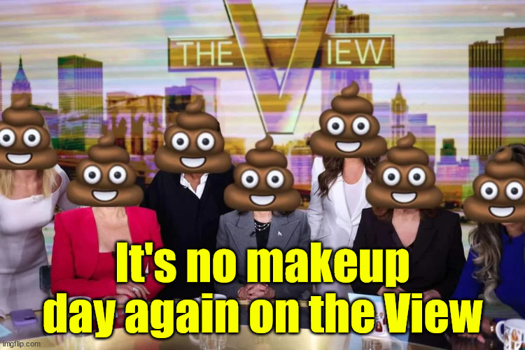 It's no makeup day on the view again... | It's no makeup day again on the View | image tagged in the view,no makeup day | made w/ Imgflip meme maker