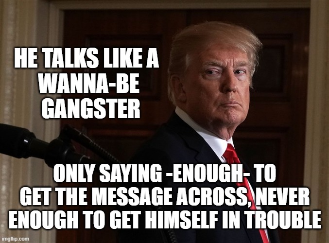 HE TALKS LIKE A 
WANNA-BE
 GANGSTER; ONLY SAYING -ENOUGH- TO GET THE MESSAGE ACROSS, NEVER ENOUGH TO GET HIMSELF IN TROUBLE | image tagged in trump,gangster | made w/ Imgflip meme maker