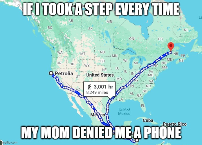 my journey | IF I TOOK A STEP EVERY TIME; MY MOM DENIED ME A PHONE | image tagged in smartphone | made w/ Imgflip meme maker