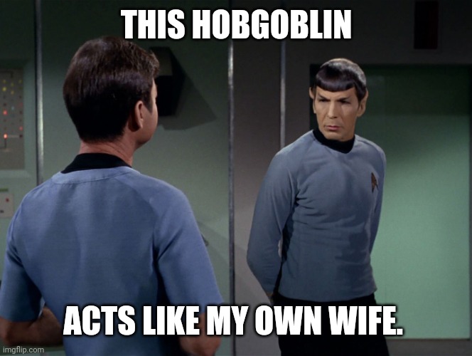 Spock McCoy Bloody History | THIS HOBGOBLIN; ACTS LIKE MY OWN WIFE. | image tagged in spock mccoy bloody history | made w/ Imgflip meme maker