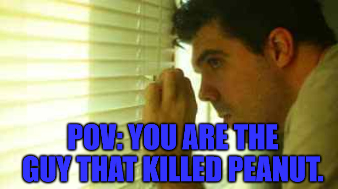 Peanut Killer | POV: YOU ARE THE GUY THAT KILLED PEANUT. | image tagged in paranoid guy | made w/ Imgflip meme maker