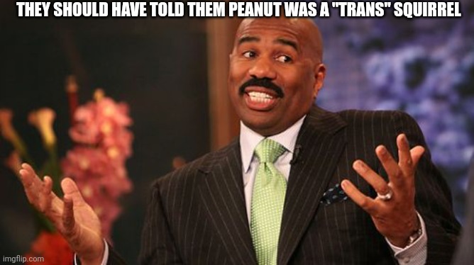 Steve Harvey Meme | THEY SHOULD HAVE TOLD THEM PEANUT WAS A "TRANS" SQUIRREL | image tagged in memes,steve harvey | made w/ Imgflip meme maker