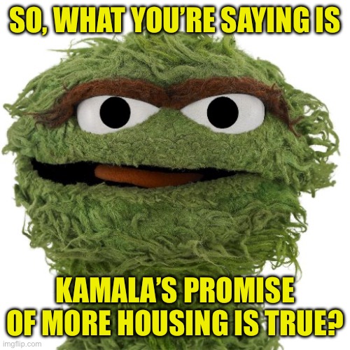 Oscar The Grouch | SO, WHAT YOU’RE SAYING IS KAMALA’S PROMISE OF MORE HOUSING IS TRUE? | image tagged in oscar the grouch | made w/ Imgflip meme maker