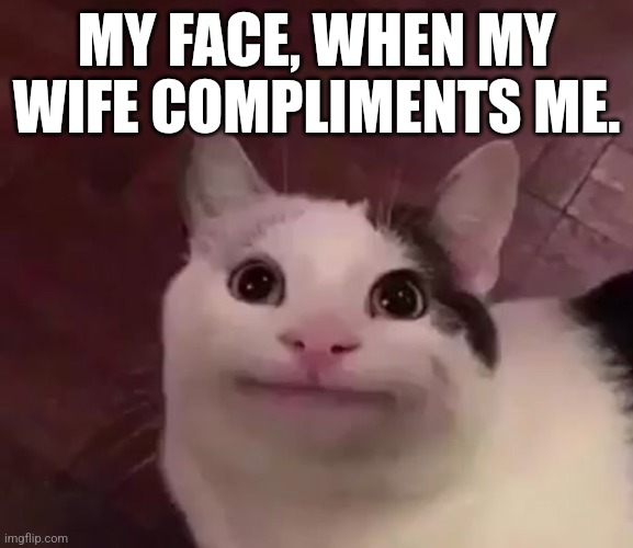 Ope. | MY FACE, WHEN MY WIFE COMPLIMENTS ME. | image tagged in awkward cat | made w/ Imgflip meme maker