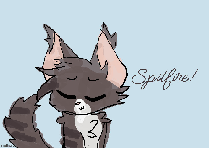 SPITFIRE!!!! (That0nenote: is it pettable tho) | image tagged in meow | made w/ Imgflip meme maker