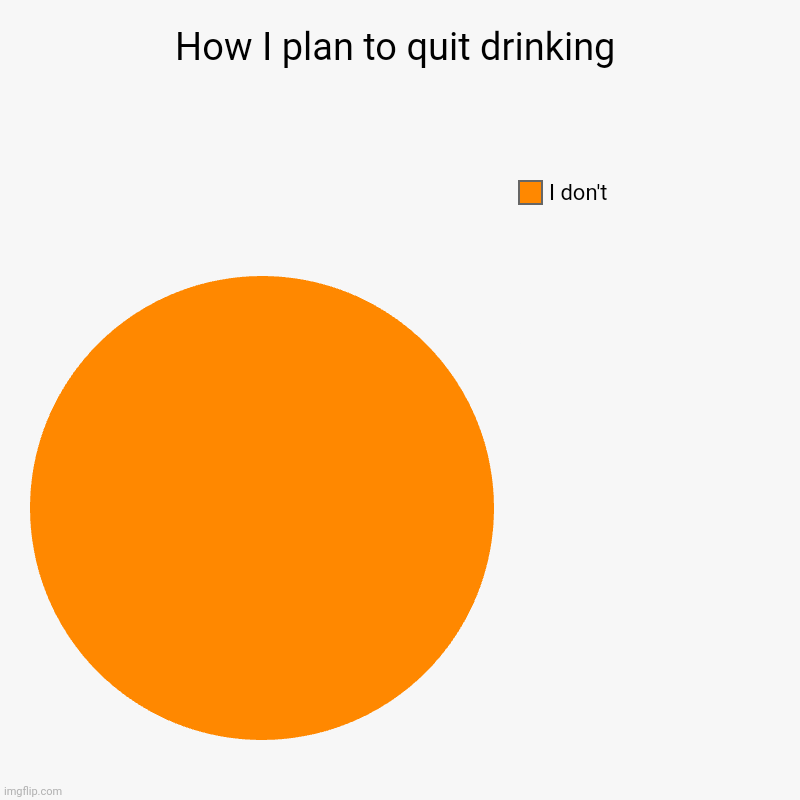 How I plan to quit drinking | I don't | image tagged in charts,pie charts | made w/ Imgflip chart maker