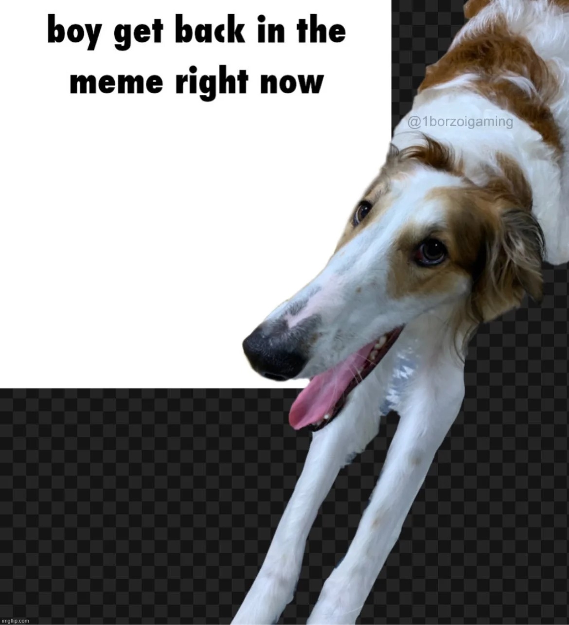 made w/ Imgflip meme maker