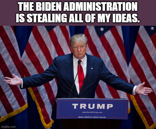 Donald Trump | THE BIDEN ADMINISTRATION IS STEALING ALL OF MY IDEAS. | image tagged in donald trump | made w/ Imgflip meme maker