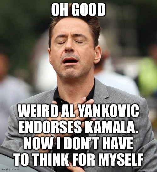 relieved rdj | OH GOOD WEIRD AL YANKOVIC ENDORSES KAMALA.
NOW I DON’T HAVE TO THINK FOR MYSELF | image tagged in relieved rdj | made w/ Imgflip meme maker