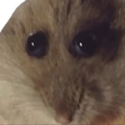 Hampter Blank Meme Template