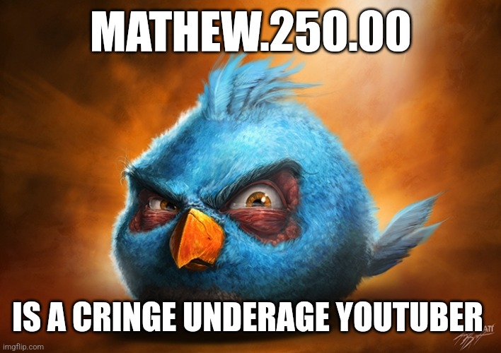 Facts check him out | MATHEW.250.00; IS A CRINGE UNDERAGE YOUTUBER | image tagged in angry birds blue | made w/ Imgflip meme maker