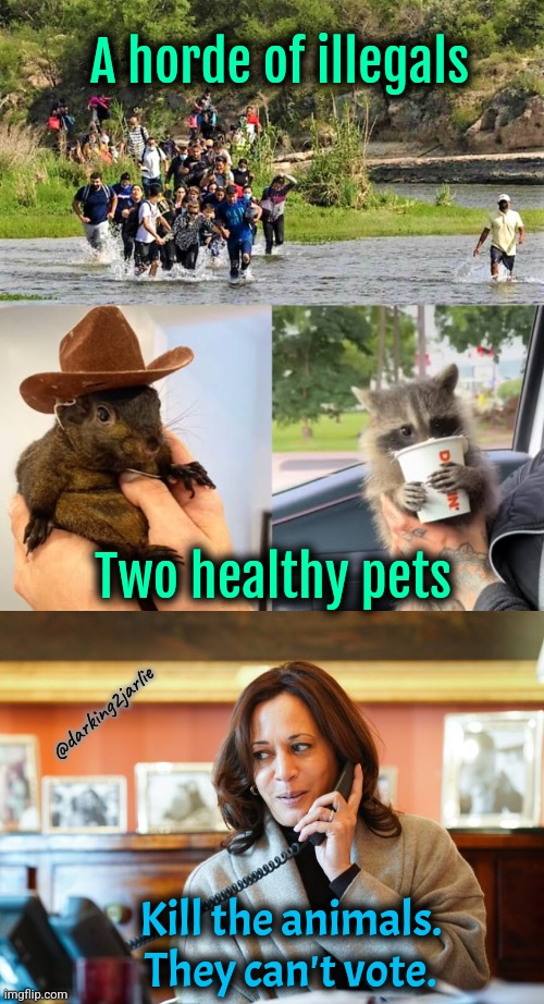 Democrats 101 | A horde of illegals; Two healthy pets; @darking2jarlie; Kill the animals. They can't vote. | image tagged in illegal immigrants,animals,kamala harris,democrats,america,fred | made w/ Imgflip meme maker