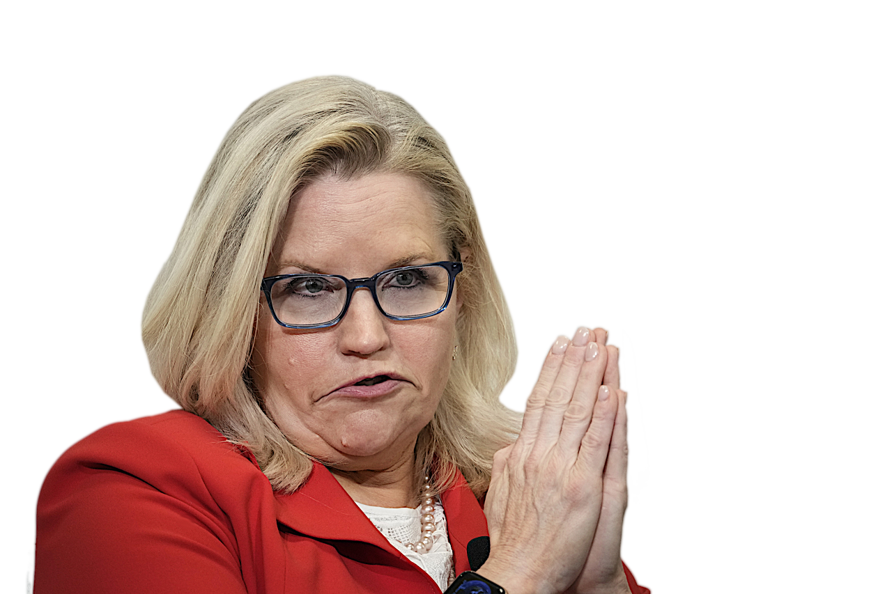 High Quality LIZ CHENEY BEGS FOR PARDON Blank Meme Template