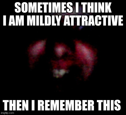 also my last relationship was in 1st grade :sob: | SOMETIMES I THINK I AM MILDLY ATTRACTIVE; THEN I REMEMBER THIS | image tagged in nice to meat you | made w/ Imgflip meme maker