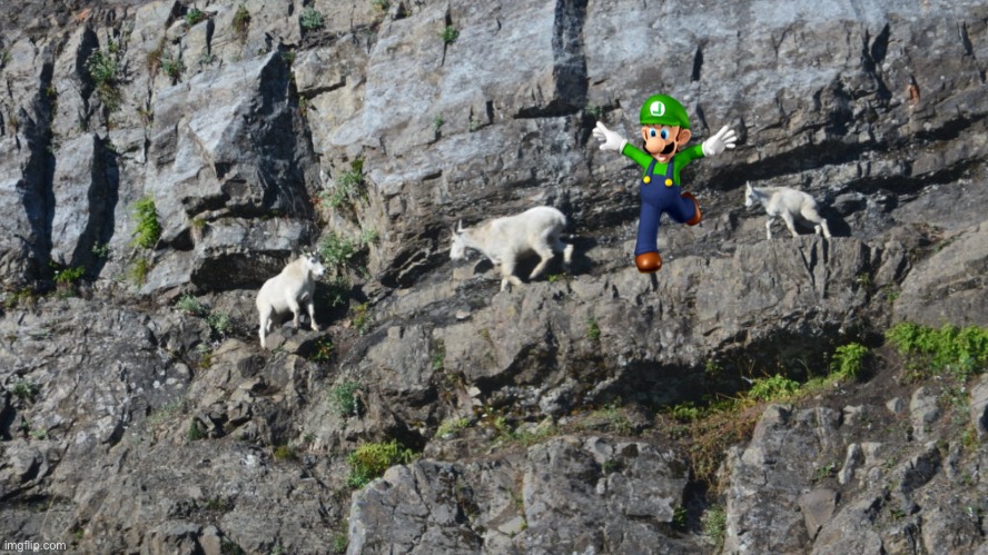 Luigi Dies Gets Kicked Off A Mountain By A Goats.mp3 | image tagged in wario dies | made w/ Imgflip meme maker