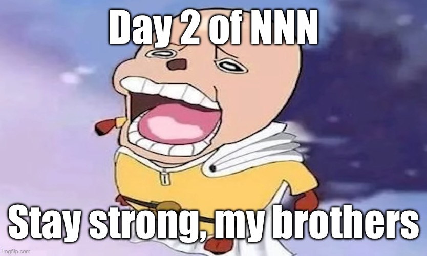 And sisters ig | Day 2 of NNN; Stay strong, my brothers | image tagged in one-punch chopper | made w/ Imgflip meme maker