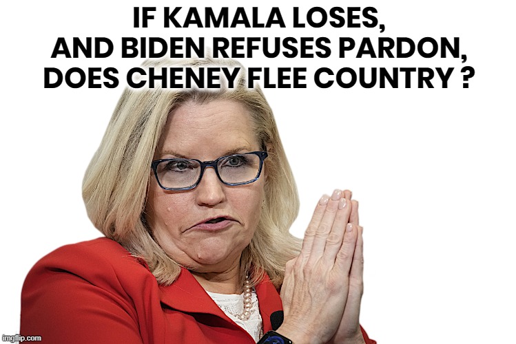 LIZ CHENEY BEGS FOR PARDON? | IF KAMALA LOSES,
AND BIDEN REFUSES PARDON,
DOES CHENEY FLEE COUNTRY ? LIZ CHENEY BEGS KAMALA HARRIS FOR A PARDON; UNETHICAL J6 COMMITTEE WITNESS / EVIDENCE TAMPERING | image tagged in kamala harris,corrupt,corruptocrat,liz cheney,evidence,tampering | made w/ Imgflip meme maker