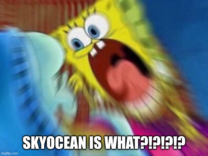 Triggered Screaming Spongebob | SKYOCEAN IS WHAT?!?!?!? | image tagged in triggered screaming spongebob | made w/ Imgflip meme maker